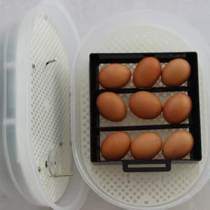 Incubator